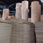 Carton and Cardboard Dough Production’s Feasibility Study