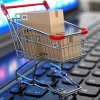 گزارش طرح تجاری طرح تجاری خرده فروشی آنلاین
