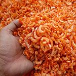 Production and Packaging of Dried Shrimp’s Feasibility Study