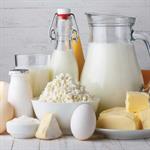 Dairy Products Production’s Feasibility Study